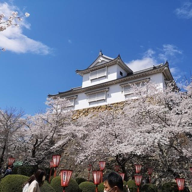 岡山　津山　お花見ツーリング