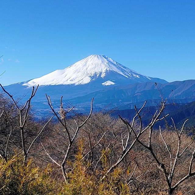 明けましておめでとうございます♪