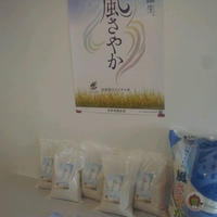 長野県オリジナル米「風さやか」体験イベント