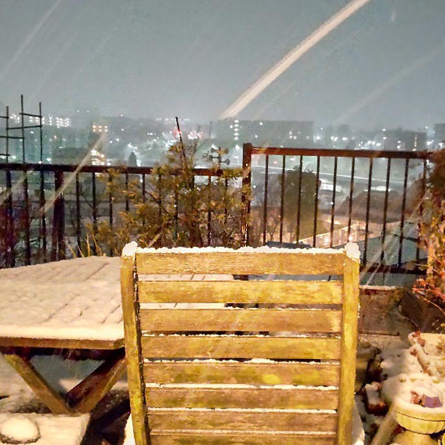 今回の雪、このくらい積もりました
