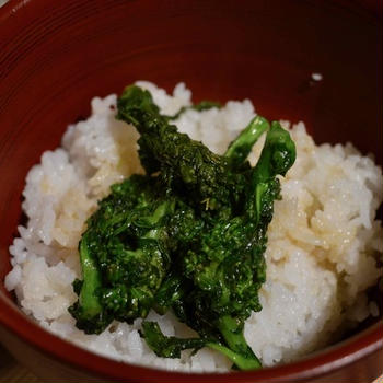 菜の花のお丼