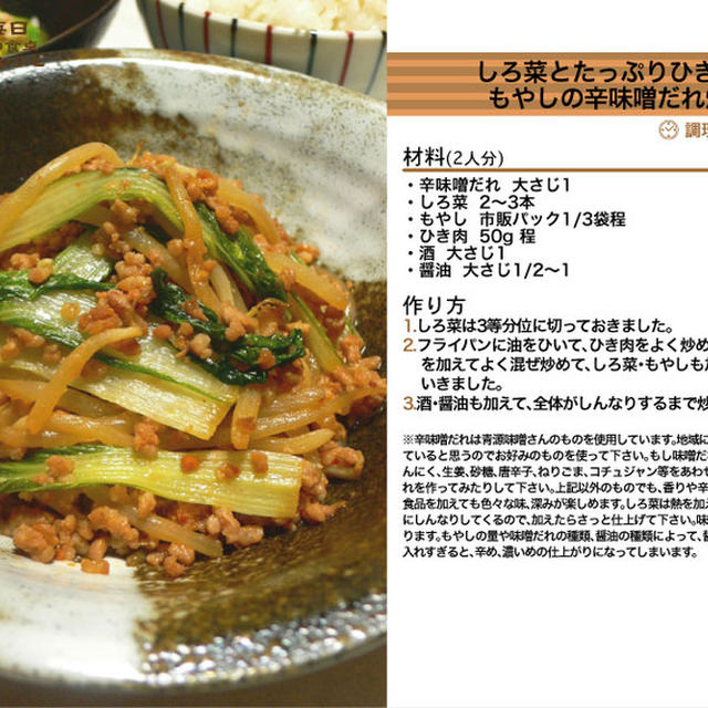 735.しろ菜とたっぷりひき肉ともやしの辛味噌だれ炒め