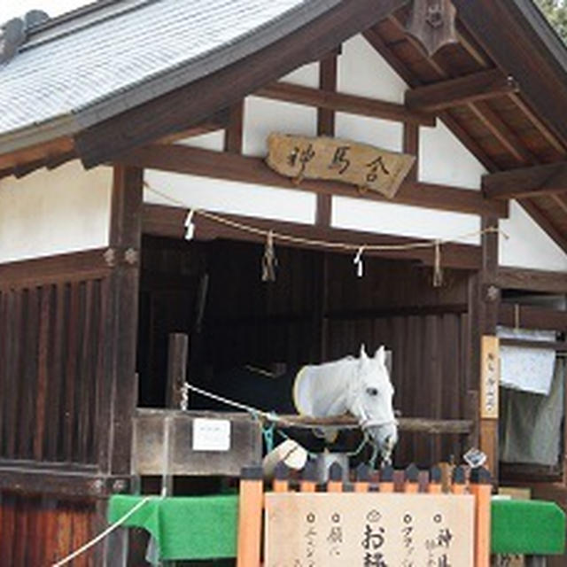 上賀茂神社内の龍神様