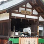 上賀茂神社内の龍神様