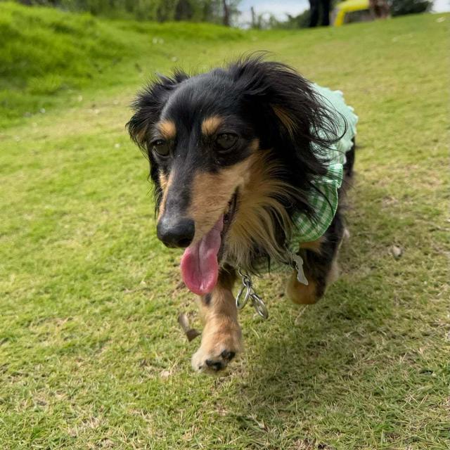 犬連れ九十九里旅行 その2 宿編