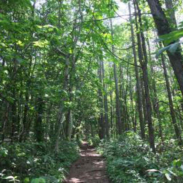 塩谷丸山～♪