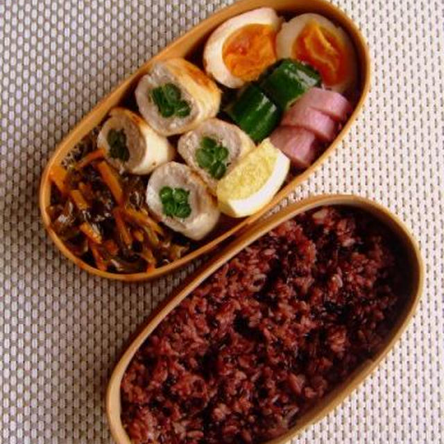 2010年6月23日（水）最近のお弁当