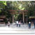 奈良　大神神社へ＜前編＞