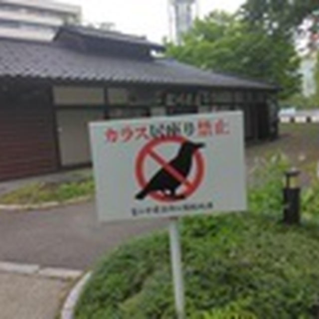 からすは頭がいいけど・・・ひとことのひとりごと２０４８