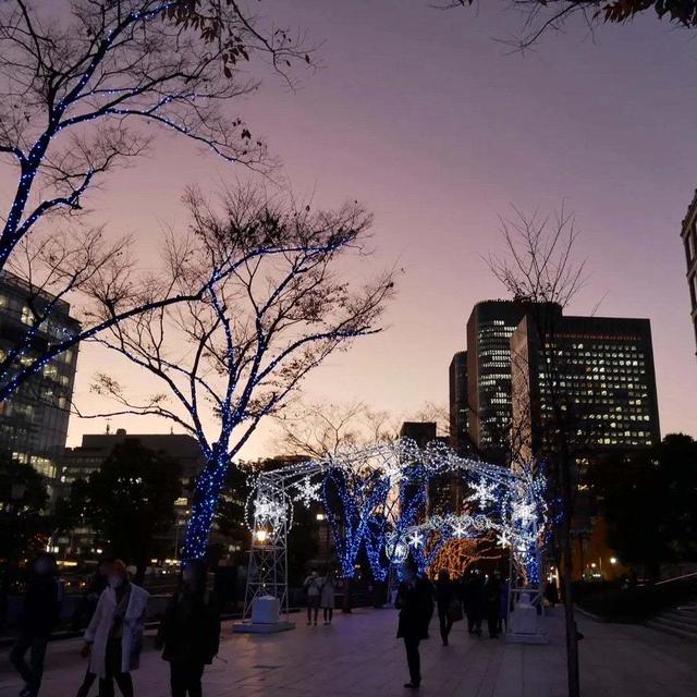 大阪市役所〜中之島イルミネーション2022、最近撮った写真#ameba写真部