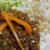 お昼にいかが？『カレー　アーモンドライス添え』