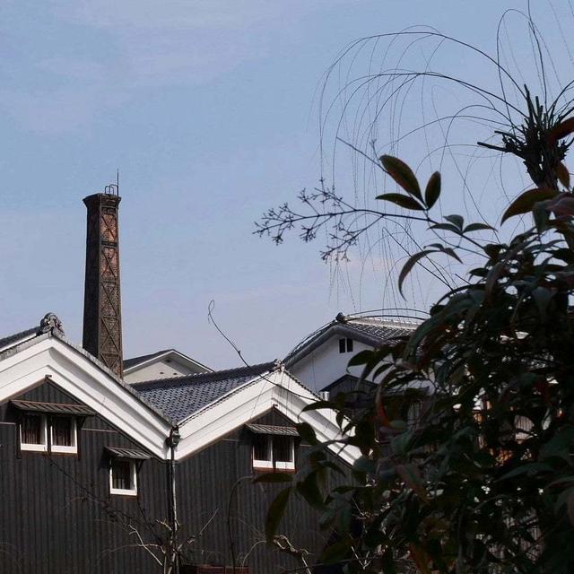 伏見散策#最近撮った写真は