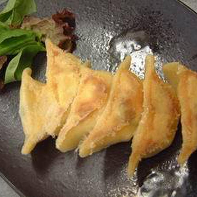 マクロビオティック風餃子