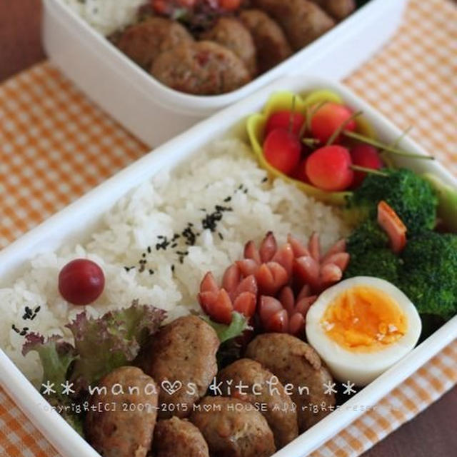 夏本番！ ぷちﾊﾝﾊﾞｰｸﾞ弁 ✿ ﾁｷﾝ南蛮♪