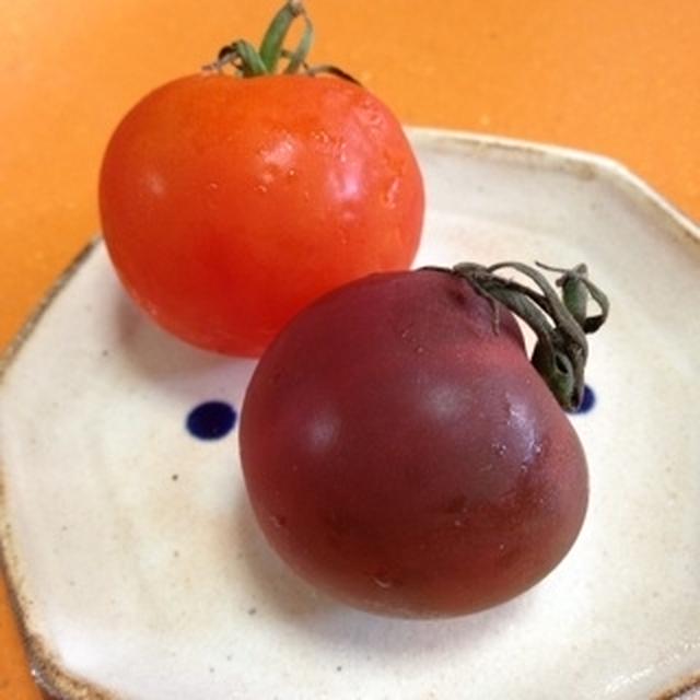 麗奈好のトマトドレッシング冷製パスタ