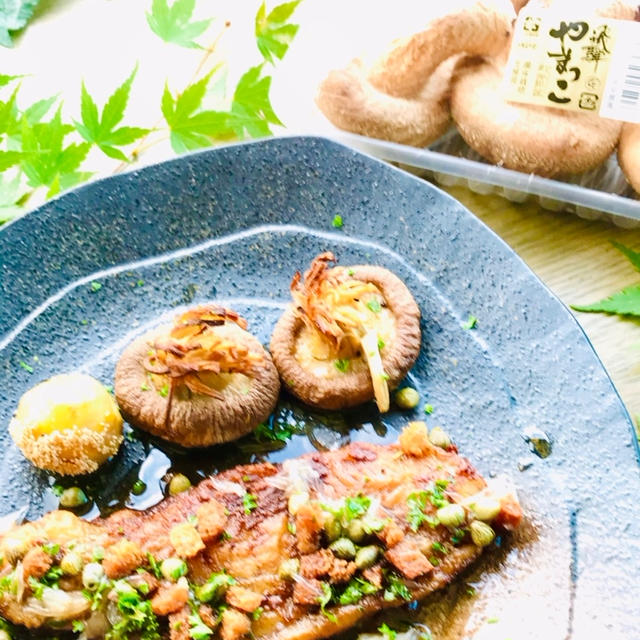 安心安全！軸まで美味しい❣️岐阜県産椎茸「飛騨やまっこ」のクラゲ焼き