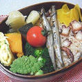 たこ飯弁当。たことブロッコリーのオイスターソース炒め
