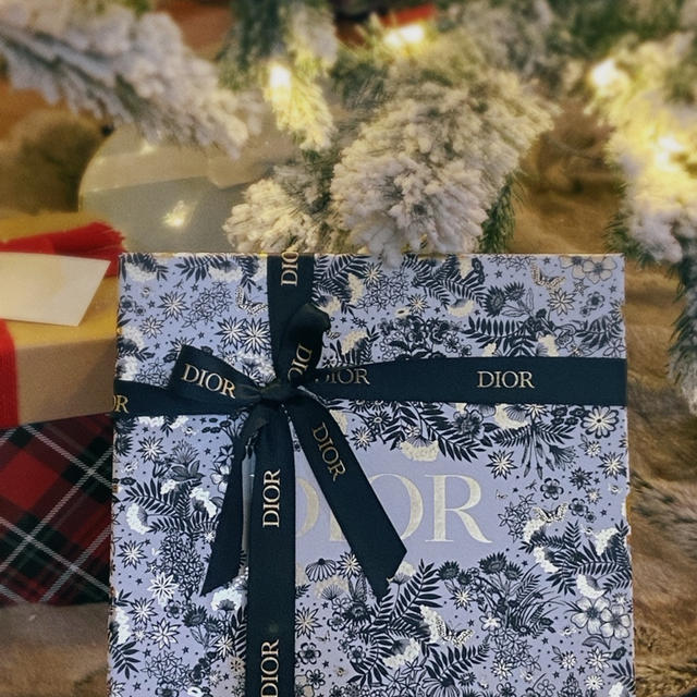 娘からのクリスマスプレゼント