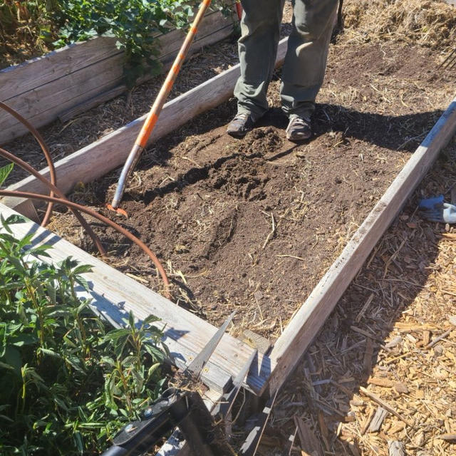 ファームボランティアでの学び　③　土の微生物環境を壊さずにバランスの悪い土を整える方法