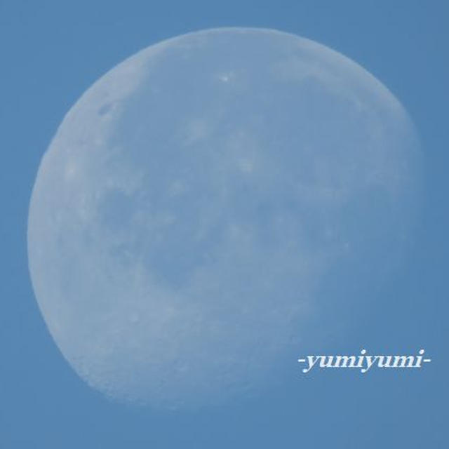 朝の月。