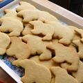 クマ３６頭の型抜きクッキー　Sugar Cookies