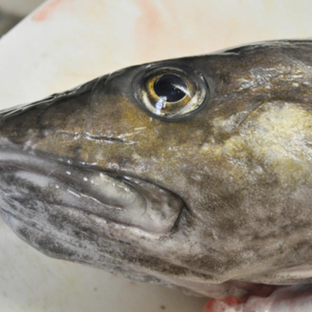 “ 真ダラ ” の 「 そぼろ飯 （ めし ） 」