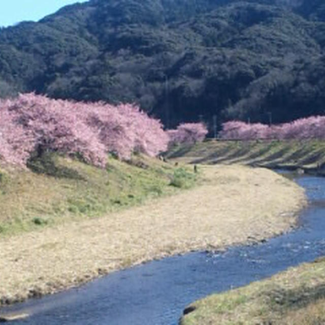 伊豆へ