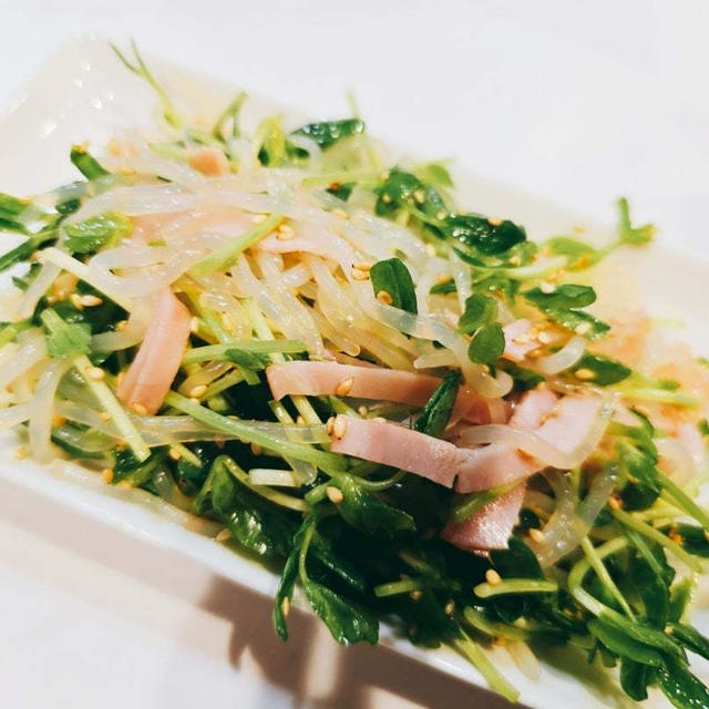 【レシピ】家族が止まらないヘルシーサラダ♡豆苗としらたきの中華サラダ