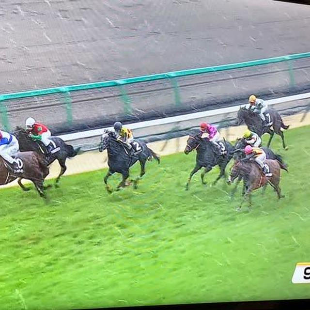 雨の日の過ごし方