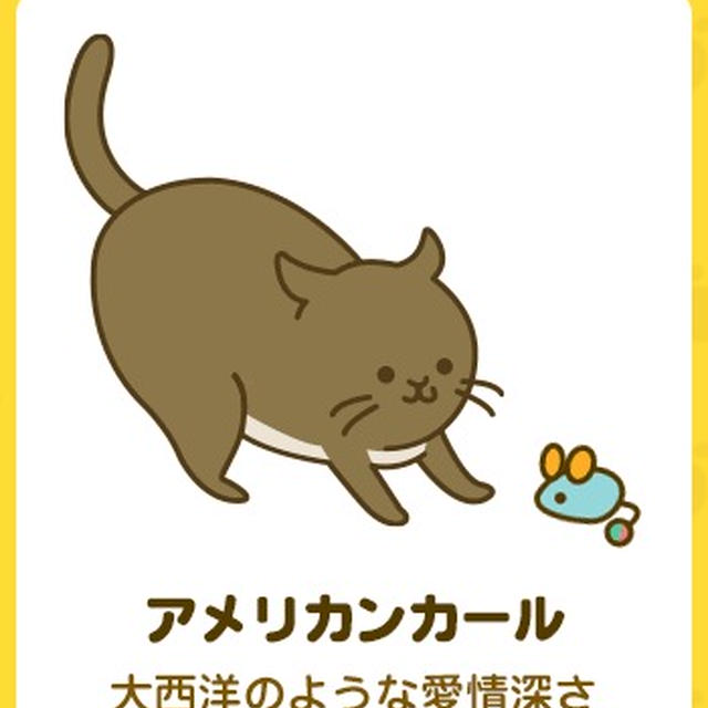 ねこ診断キャンペーン