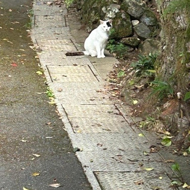 久しぶり～