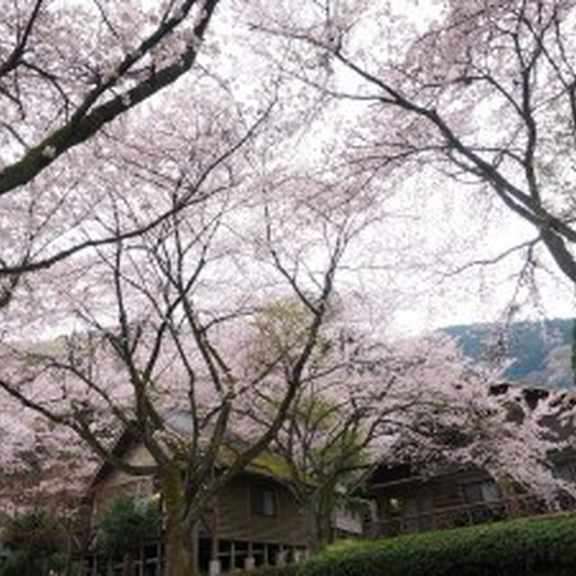 今後の方針（2）優待クロス、ＩＰＯ、読書他5／7～