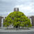 京都観光「京都大学」