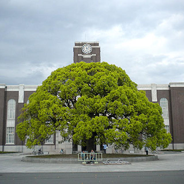 京都観光「京都大学」