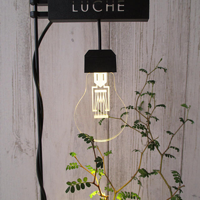 育成LEDライト「ルーチェ」で植物をオシャレに照らす