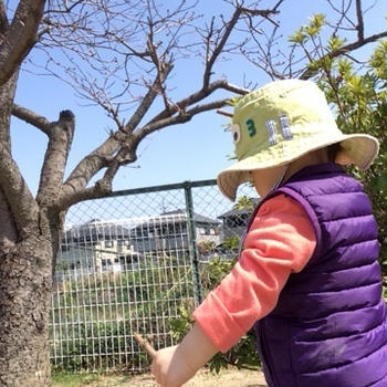あめ〜♪