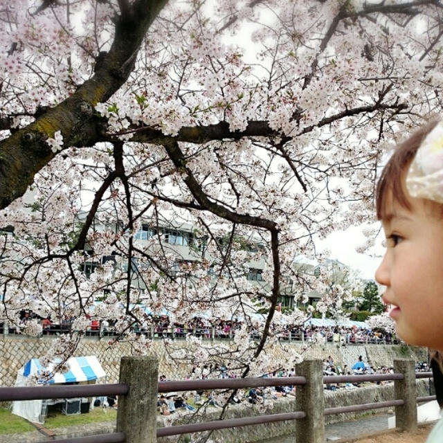 芦屋さくらまつり❤