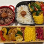 豚バラと野菜のカレー炒め弁当・庭の果物