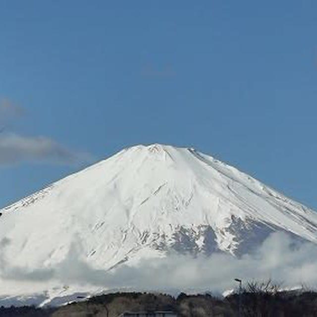 2020年 今年もよろしくお願いいたします