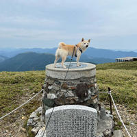 イヌと剣山をトレッキング