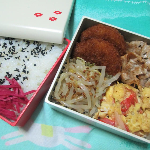 ローストアマニ入り！もやしのナムルとお弁当