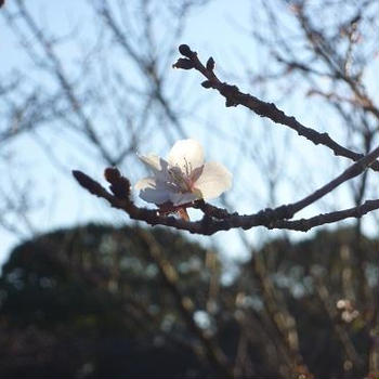 最近思う事、気付いたこと