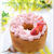 桜の生シフォンケーキ
