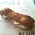 BLUFF BAKERY　だより。。vol.46