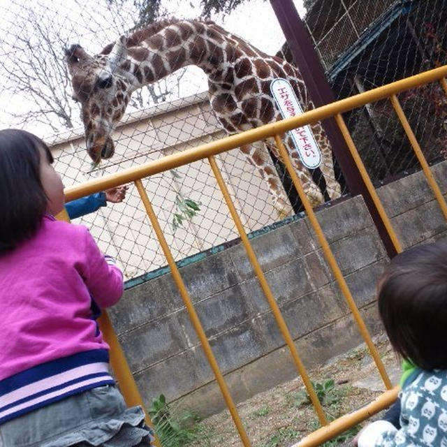 動物園☆