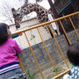 動物園☆