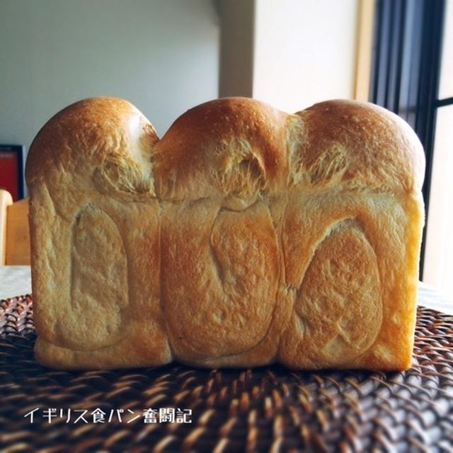 イギリス食パン奮闘記・完結編