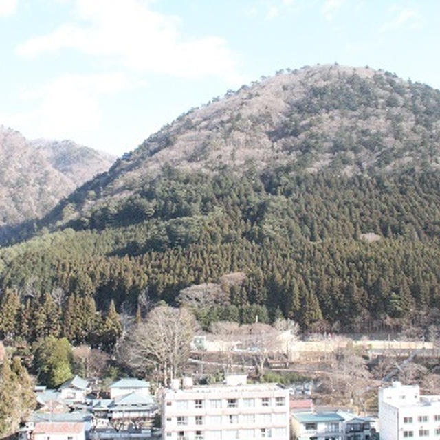 バイキング旅行に行った～！！