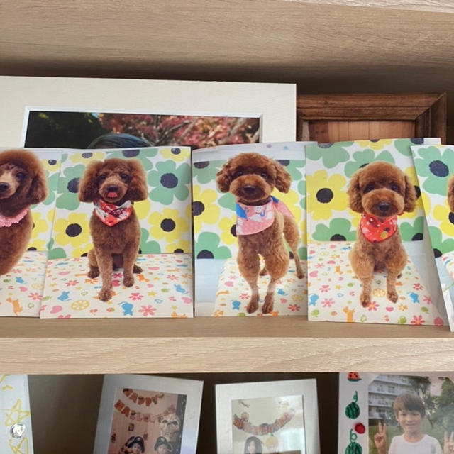 返礼品のない悲しいふるさと納税品