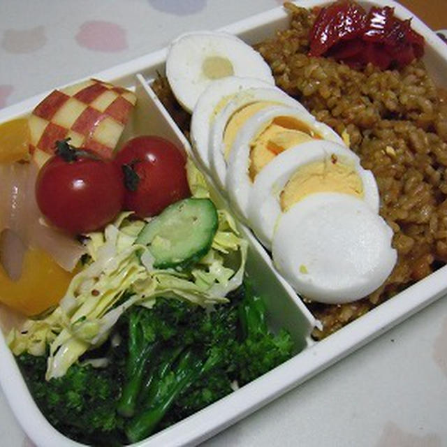 カレー炒飯弁当。見上げるきなこ